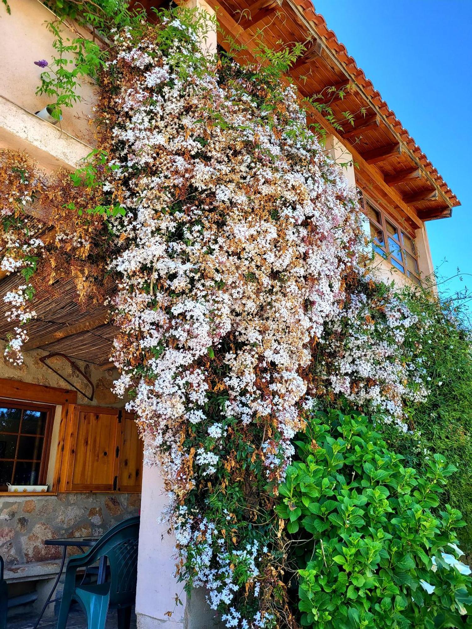Casa Rural Balcon Del Camino Viejo Valencia de Alcantara Exterior photo